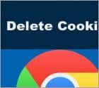 How to Clear Cookies and Cache on Your Browser