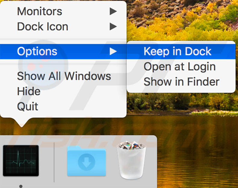 ping-icon-dock