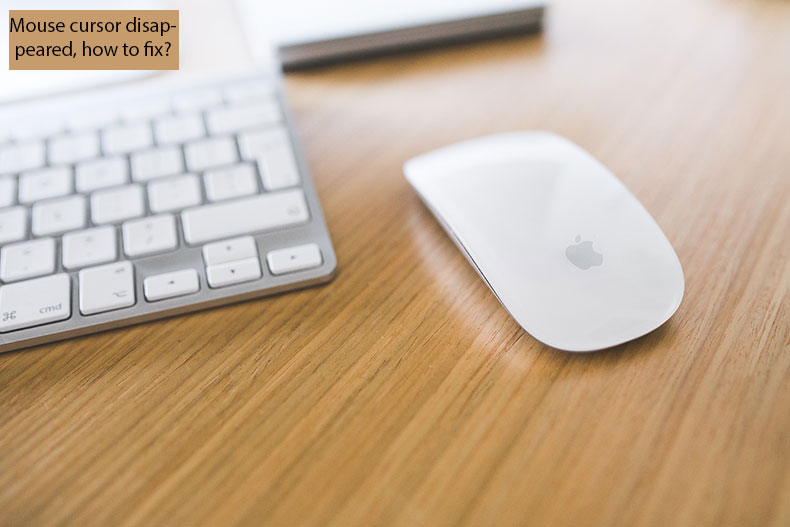 mac mouse for windows