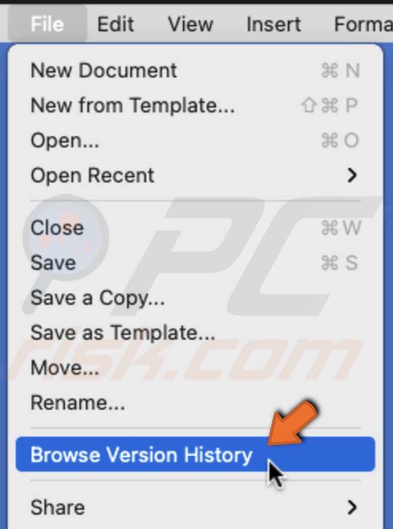 Browser file version history
