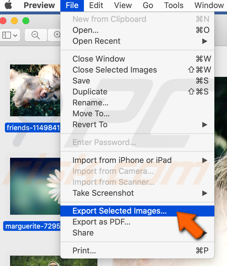 Export selected HEIC images to JPG