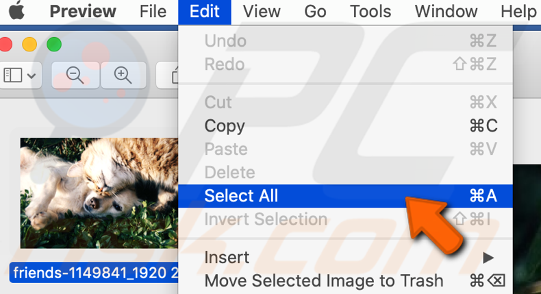 Select all photos to convert all HEIC images to JPG