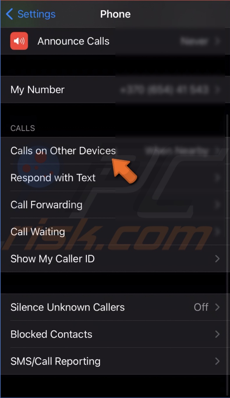 Go to Call on Other Devices on iPhone