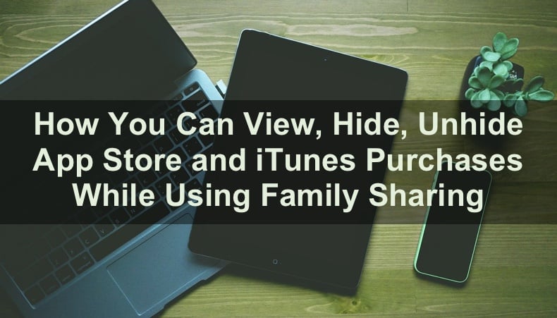 View, Hide/Unhide App Store and iTunes Purchases in Family Sharing on Mac