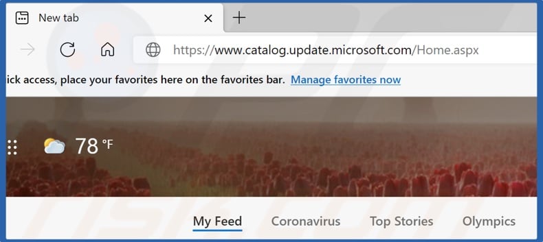 Go to the Windows Update Catalog website