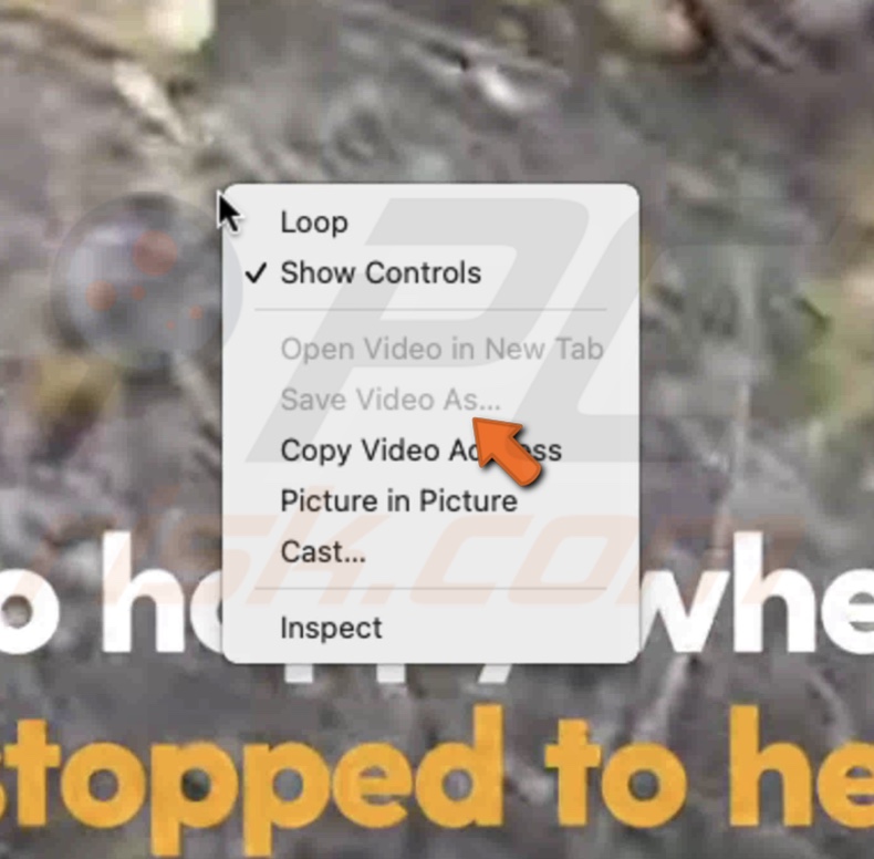Save Video As grayed out