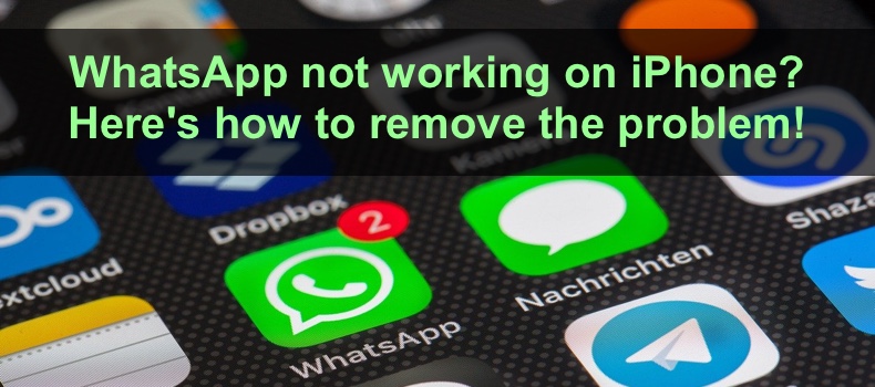 WhatsApp not working on iPhone? Here's how to remove the problem!