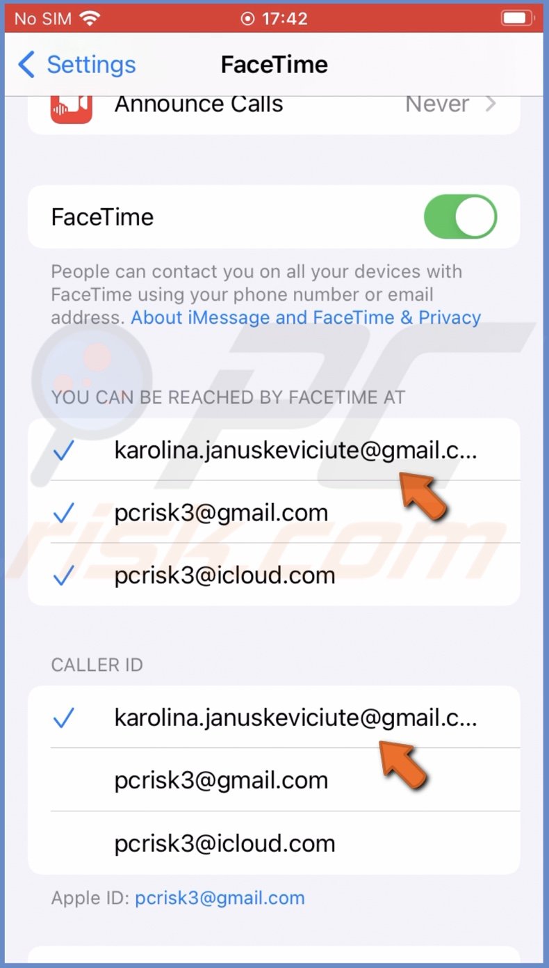 Use email with FaceTime