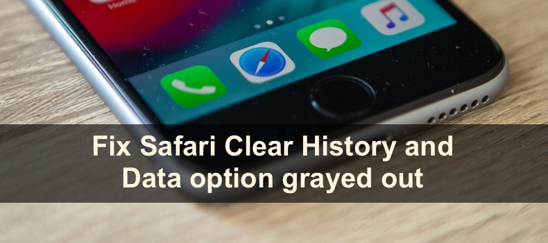 Fix Safari Clear History and Data option grayed out