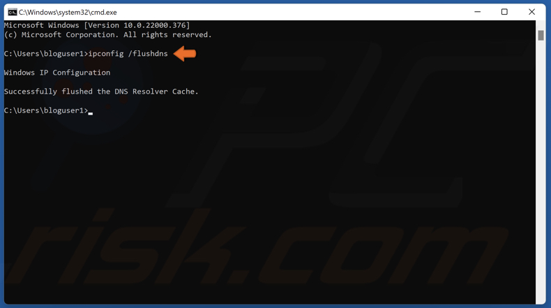 Type in ipconfig /flushdns in Command Prompt and hit Enter
