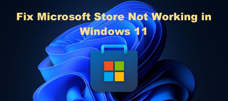 Microsoft Store Not Working