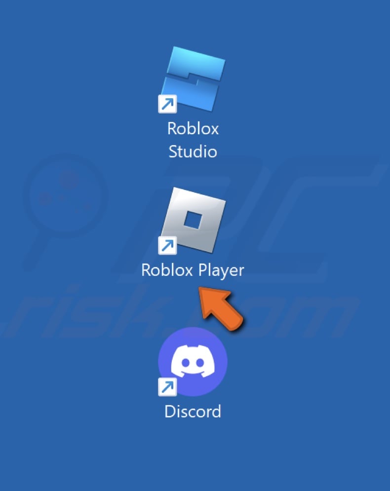 Run the Roblox Player executable on your desktop