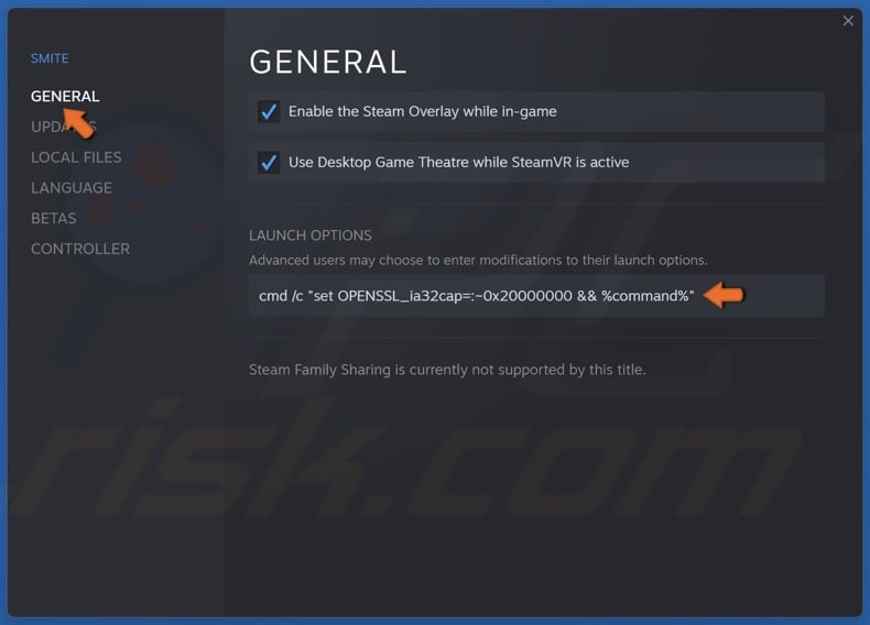 Select the General tab and insert the command in the Launch Options text box