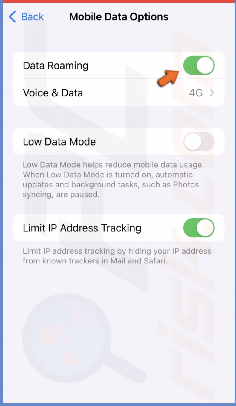 Enable data roaming