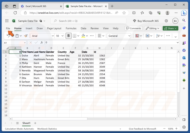 Click File in the Excel web app