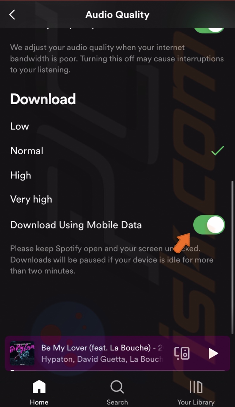 Download using mobile data