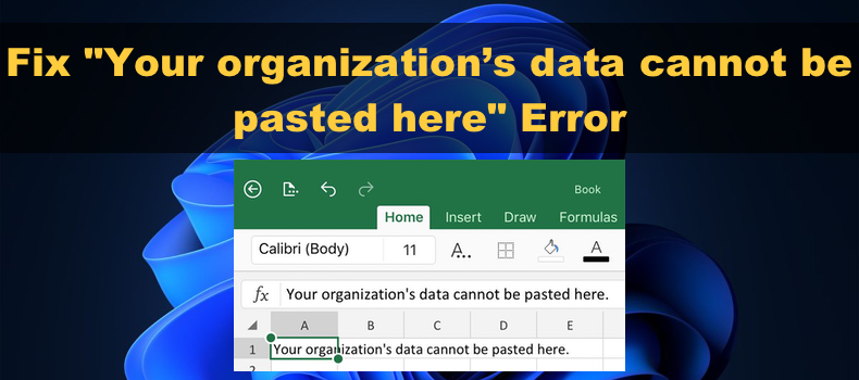 Your organization’s data cannot be pasted here