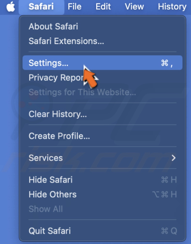 Open Safari settings