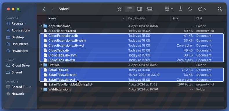 Delete Safari preference files