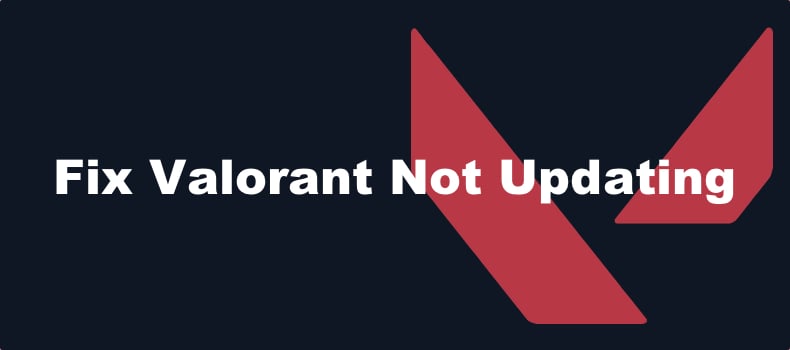 Valorant Won't Update