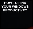How to Find Your Windows and Office Product Keys?