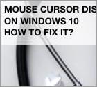 Mouse Cursor Disappeared on Windows 10. How to Fix It?