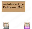 How to Find Out Your IP Address on Mac?