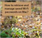 How to Find Wi-Fi Password on Mac?