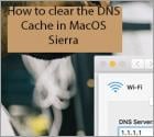 How to Clear the DNS Cache in MacOS Sierra or Later?