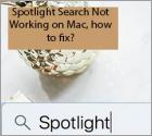 Spotlight Search Not Working on Mac, How to Fix?