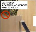 FIX: Can't Open a Particular Website