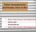 Safari Unresponsive/Frozen, How to Fix It?