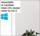 How to Fix Wuauserv High CPU Usage