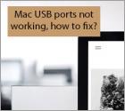 Mac USB Ports Not Working? Here's How to Fix!