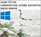 Fix UNEXPECTED STORE EXCEPTION in Windows 10