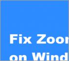 FIX: Zoom Keeps Crashing on Windows 11