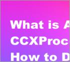 What Is CCXProcess.exe, Why and How to Disable It
